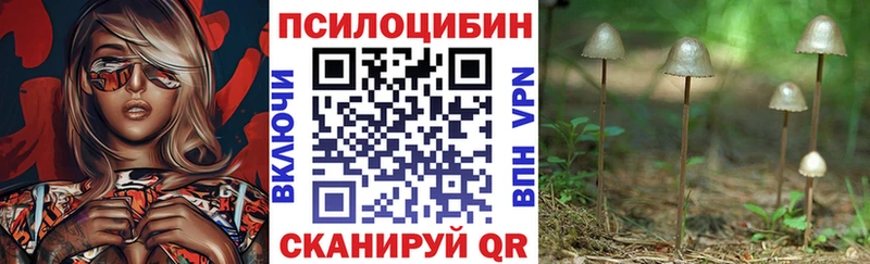 Галлюциногенные грибы GOLDEN TEACHER  где продают   Темников 